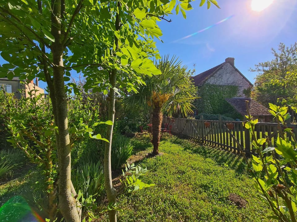 Maison de charme avec piscine, proche de la Creuse et attractions touristiques - FR-1-591-62 House in Centre-Val de Loire