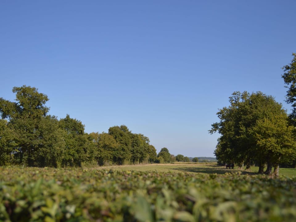Ancienne ferme rénovée au cœur de la Vallée Noire avec jardin clos, vélos et équipements complets - FR-1-591-111 House in Centre-Val de Loire