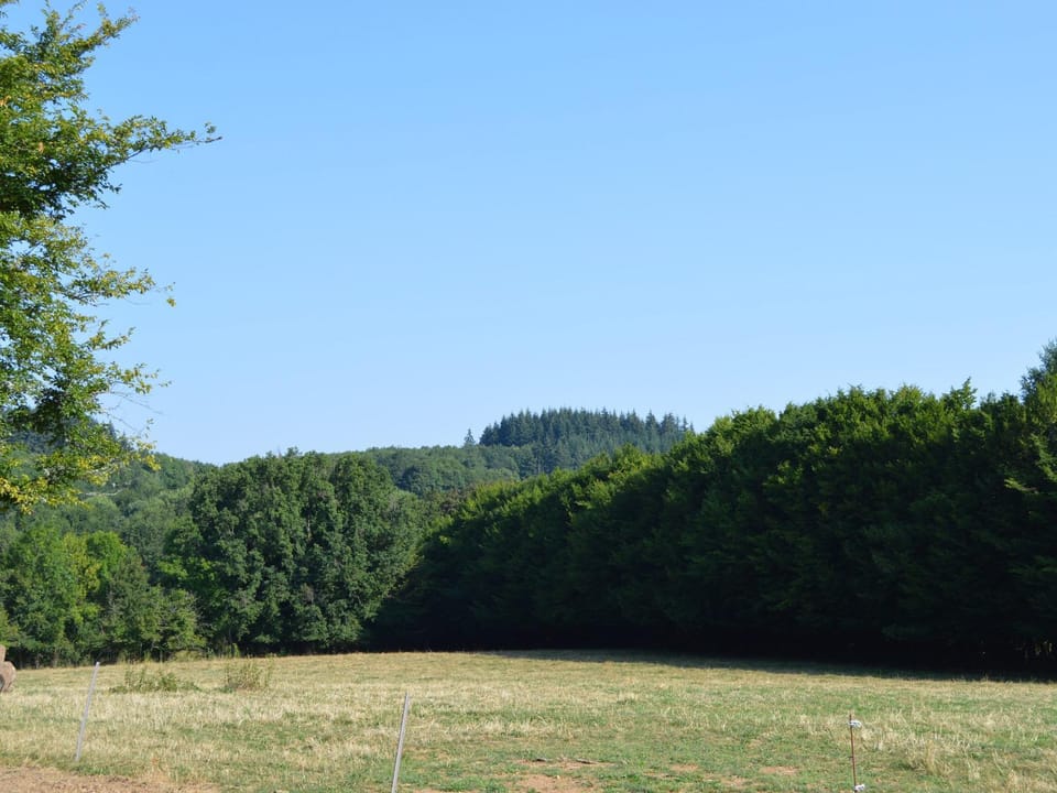 Gîte familial au calme avec grand jardin, balnéo et loisirs nautiques à proximité - FR-1-591-134 House in Centre-Val de Loire