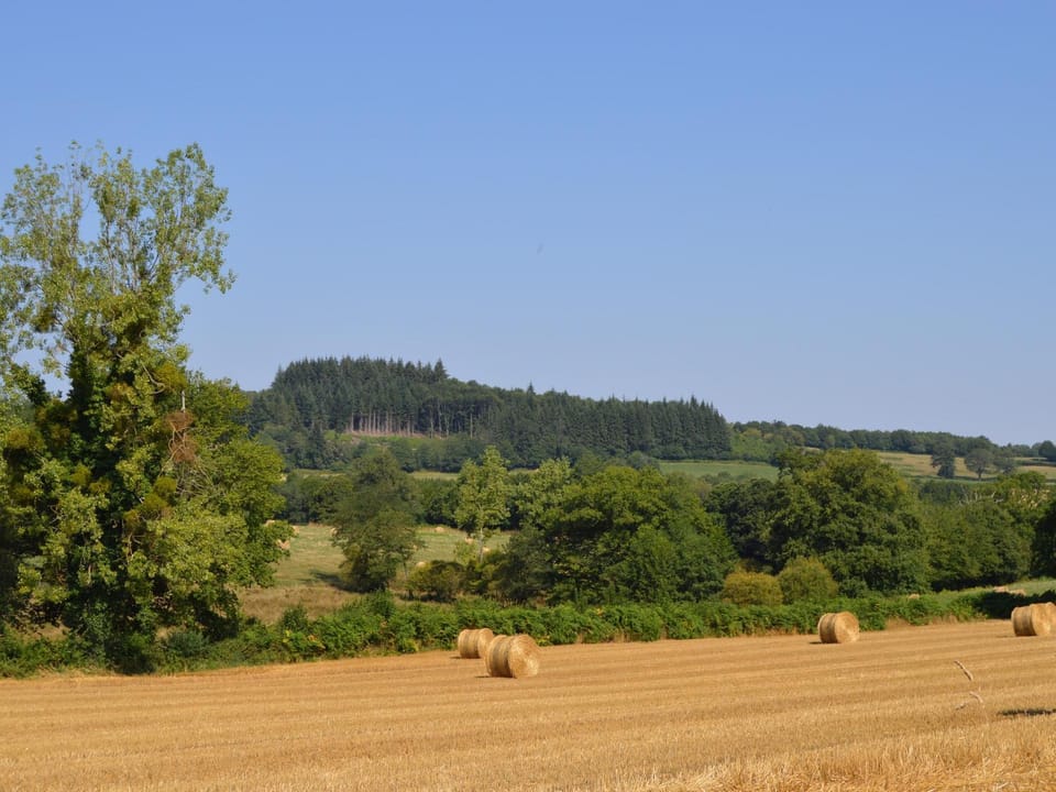Gîte familial au calme avec grand jardin, balnéo et loisirs nautiques à proximité - FR-1-591-134 House in Centre-Val de Loire