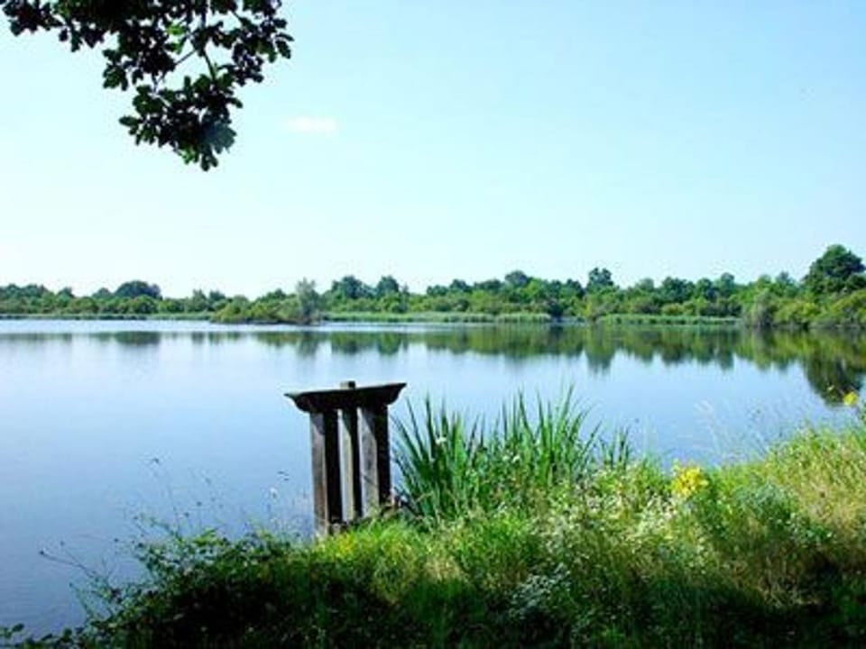 Ancien moulin avec piscine, terrasse, jardin privatif et petite île - près des étangs de la Brenne - FR-1-591-159 House in Centre-Val de Loire