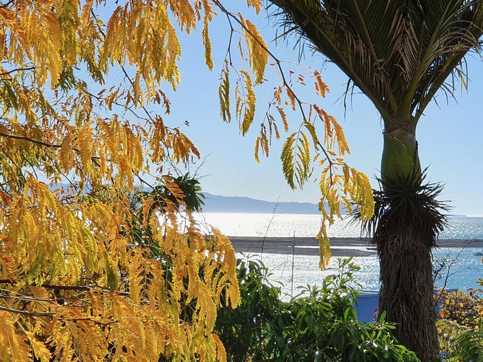 Sea view