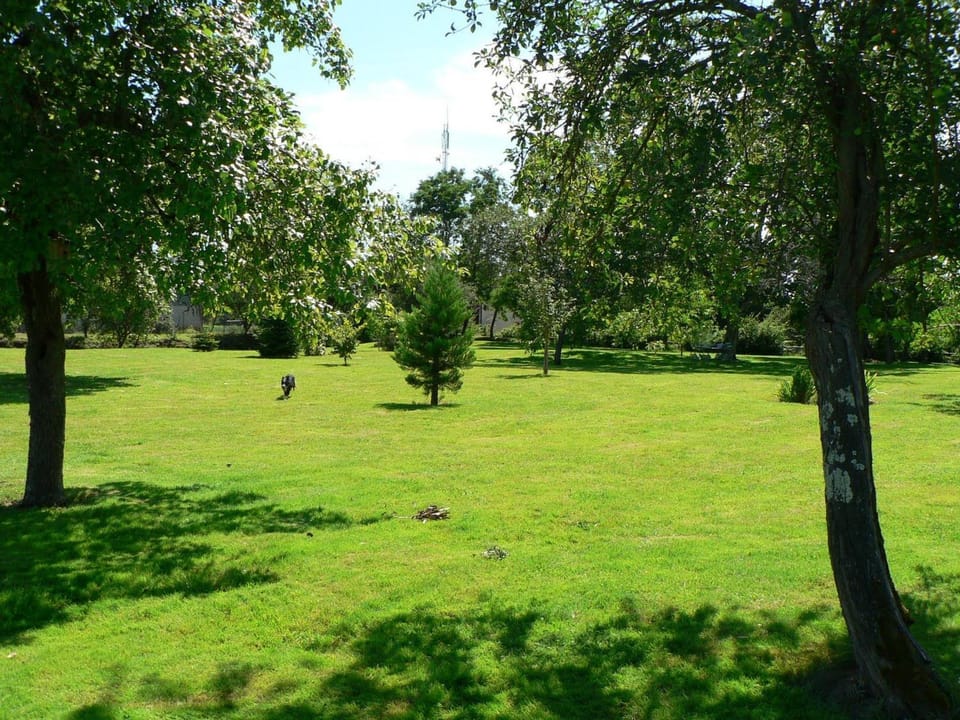 Gîte de charme en Berry avec jardin privatif, idéal pour randonnées et observation des oiseaux - FR-1-591-184 House in Centre-Val de Loire