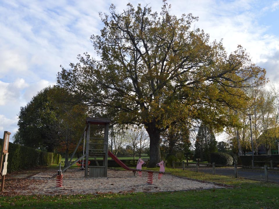 Maison éco-responsable avec terrasse, jardin privé et aménagement fauteuil roulant à Pouligny-Saint-Martin - FR-1-591-224 House in Centre-Val de Loire