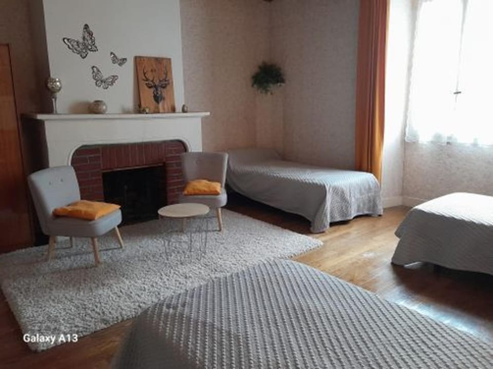 Maison spacieuse avec cour et cheminée au cœur du Parc Naturel de la Brenne - FR-1-591-229 House in Centre-Val de Loire
