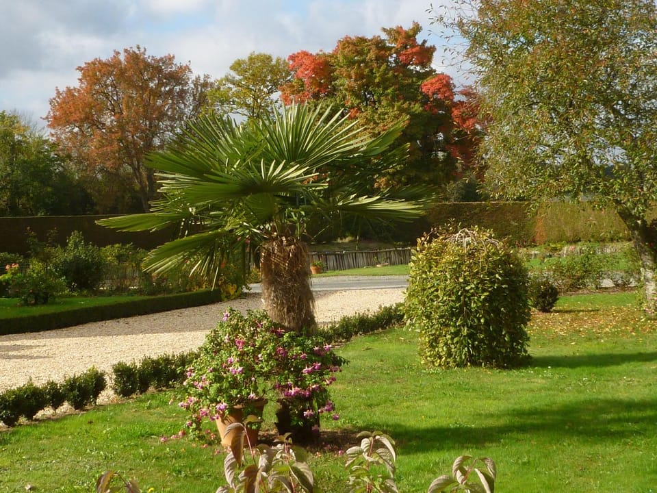 Spacieuse fermette près des châteaux & Zoo de Beauval avec activités et grand jardin - FR-1-591-218 House in Centre-Val de Loire