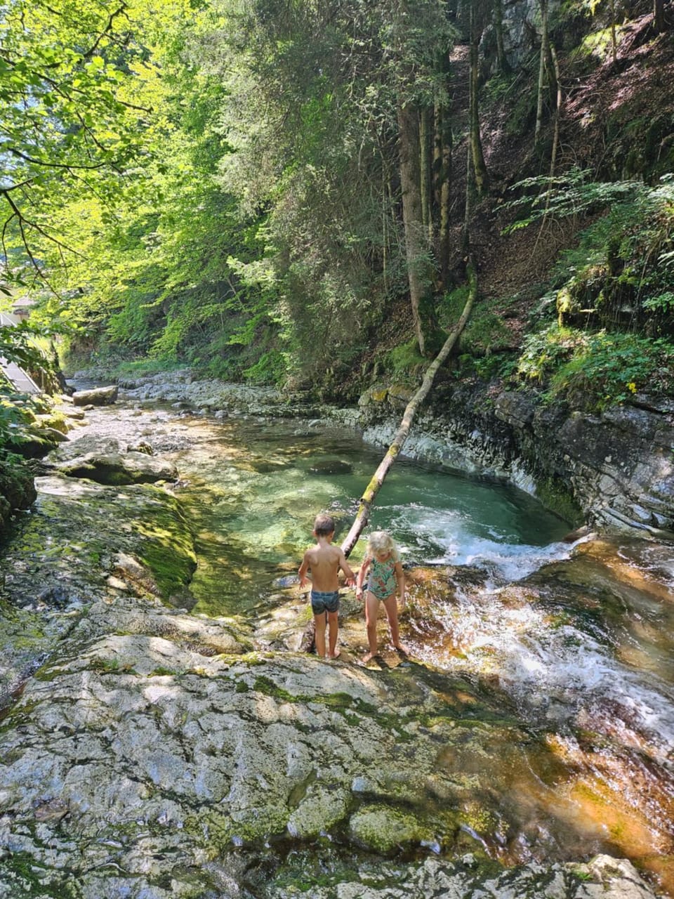 Day, Natural landscape, River view