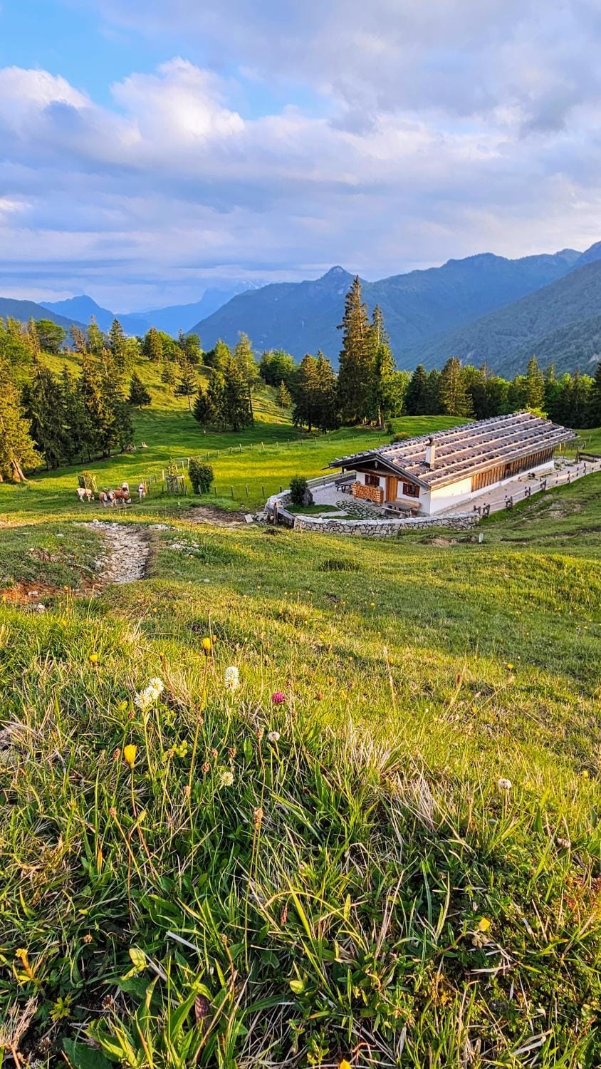 Natural landscape