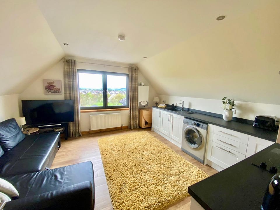 Bed, TV and multimedia, Living room, Dining area, washing machine, kitchen