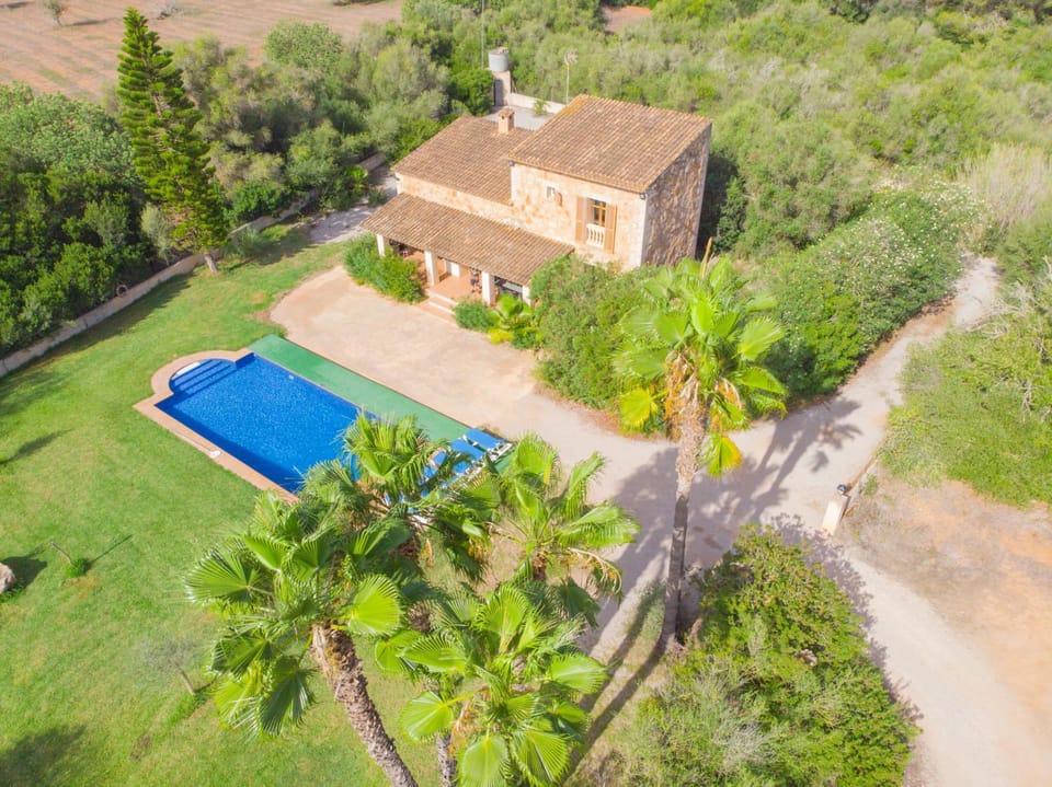 Property building, Spring, Day, Natural landscape, Bird's eye view, Garden, Garden view, Pool view, Swimming pool