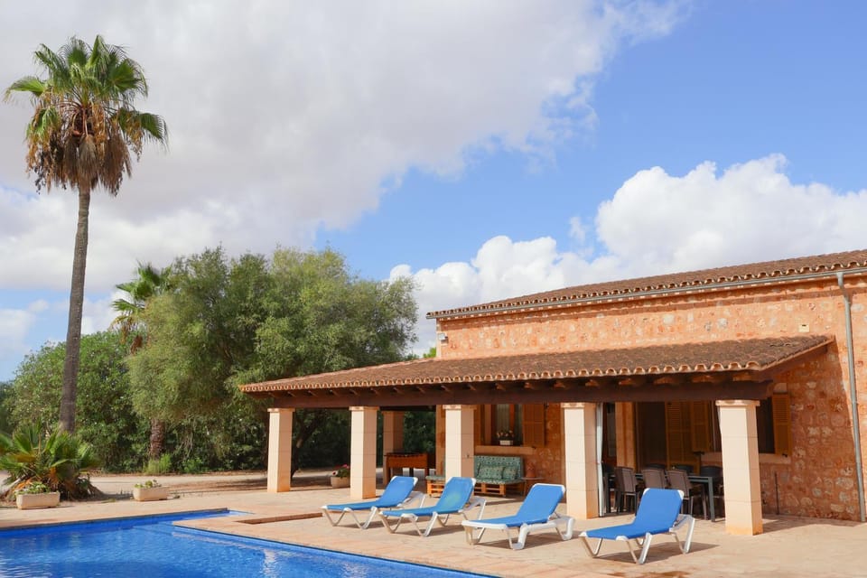 Property building, Patio, Day, Garden, Garden view, Pool view, Swimming pool, sunbed