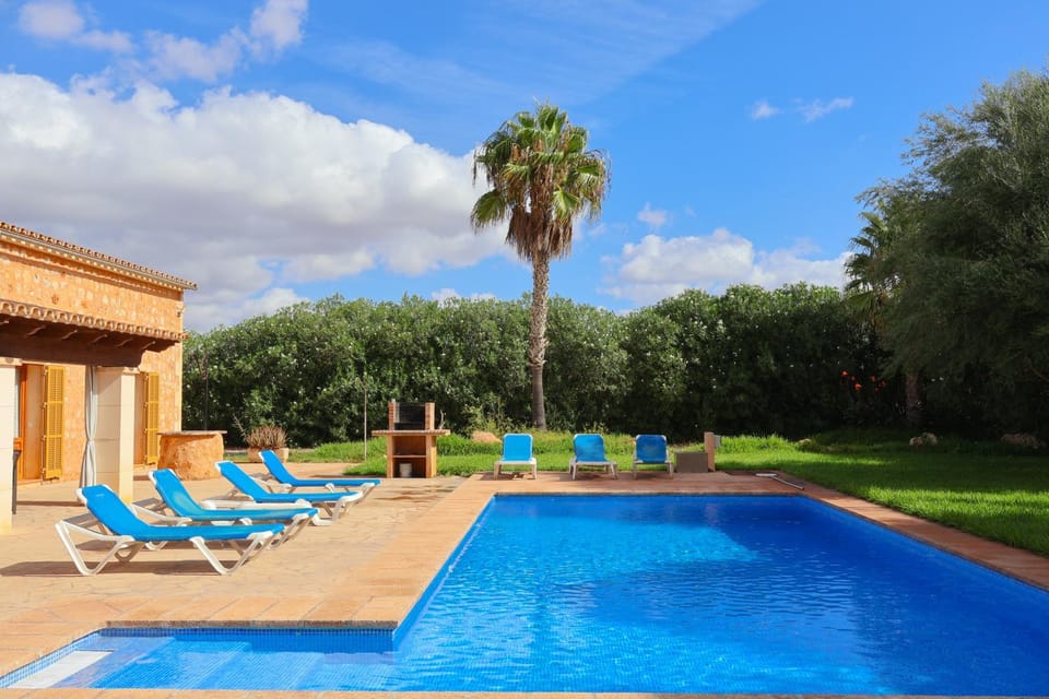 Spring, Day, Garden, Garden view, Pool view, Swimming pool, sunbed