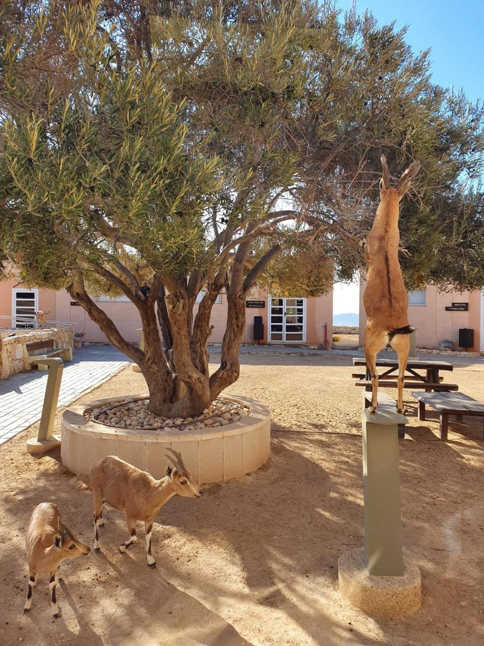 Garden, Lobby or reception