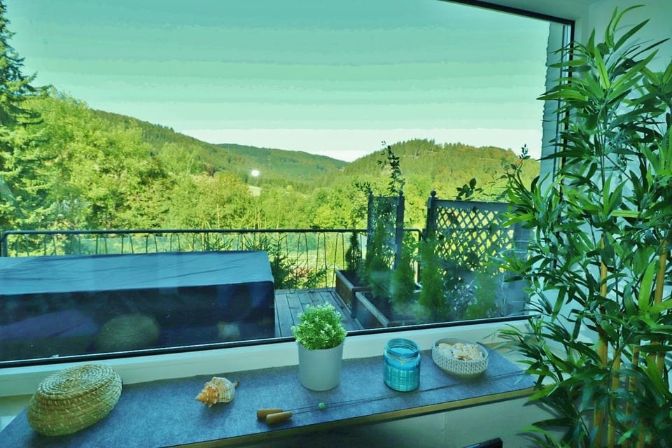 Fewo Haus Bellevue - in traumhafter Naturlage - inkl MeineCardPlus Apartment in Willingen