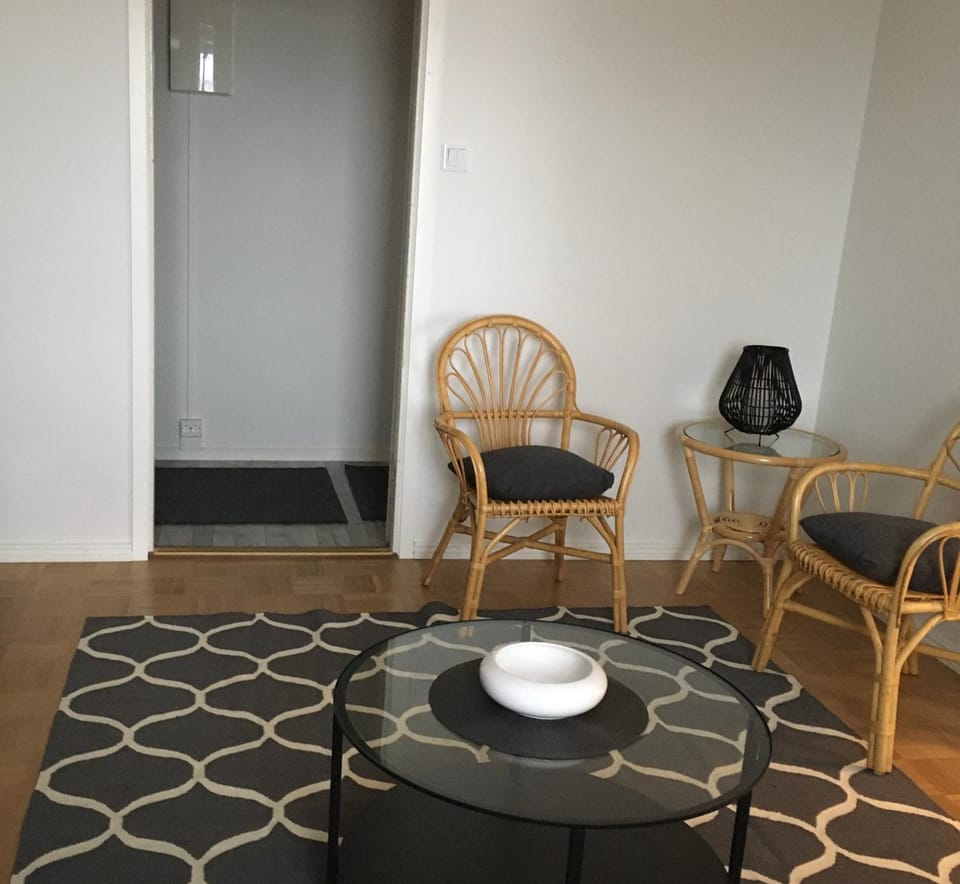Viihtyisä asunto keskustassa palvelujen lähellä Apartment in Finland