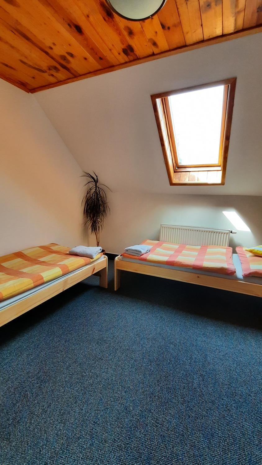 Bed, Photo of the whole room, Bedroom, children, children