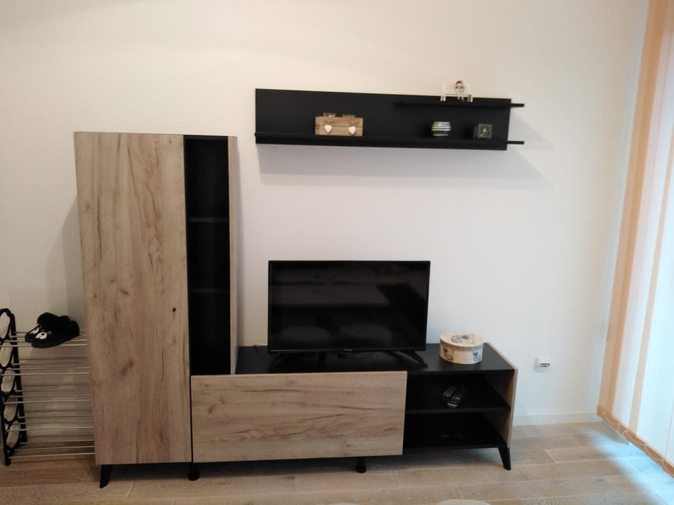TV and multimedia