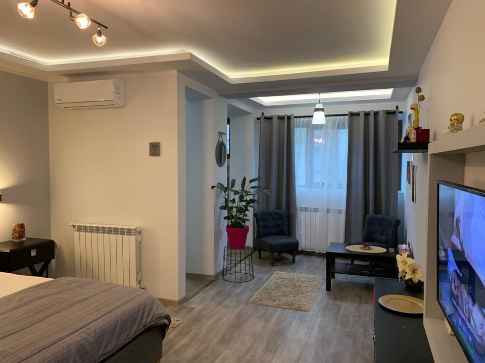 Mery Deluxe Apartment Apartment in Romania