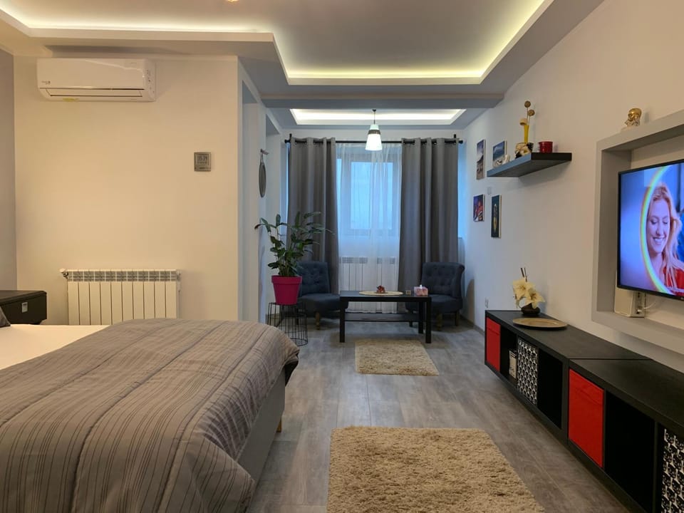 Mery Deluxe Apartment Apartment in Romania