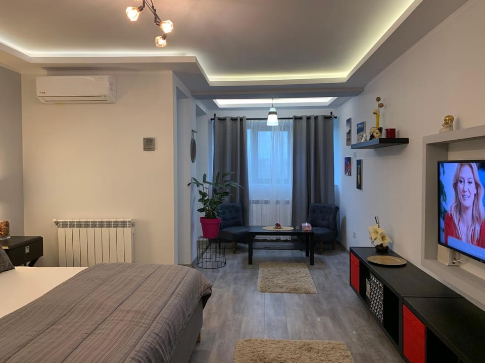 Mery Deluxe Apartment Apartment in Romania