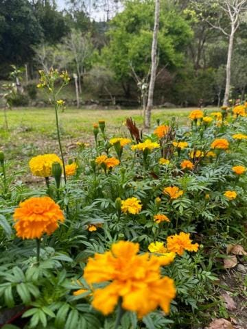 登 山莊 Tomi House Vacation rental in Taiwan, Province of China