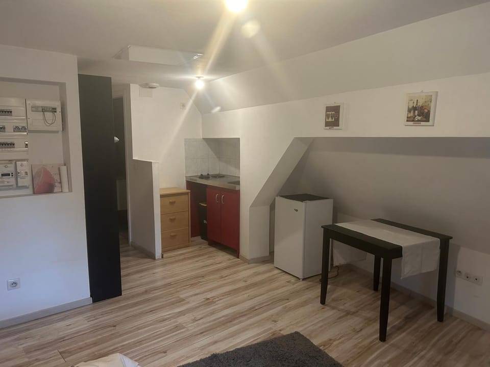 Studio chez willi Apartment in Grand Est