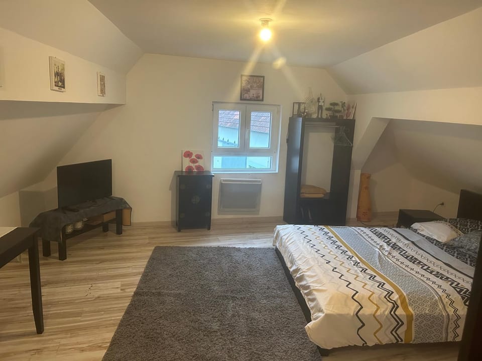 Studio chez willi Apartment in Grand Est