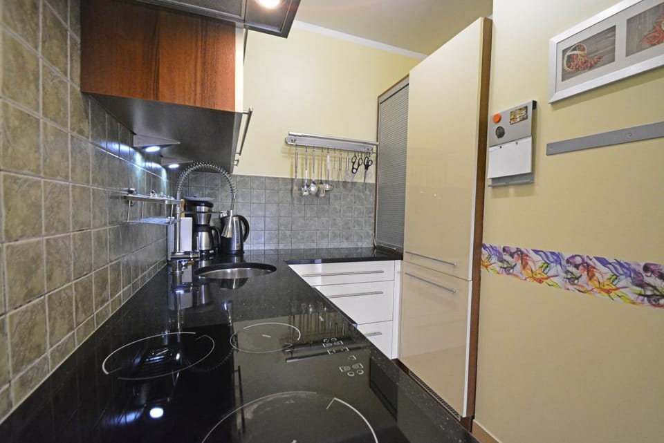 dishwasher, minibar, stove