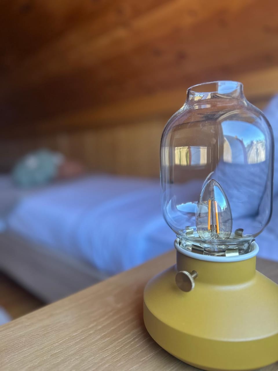 Vila Gorska Apartment in Montenegro