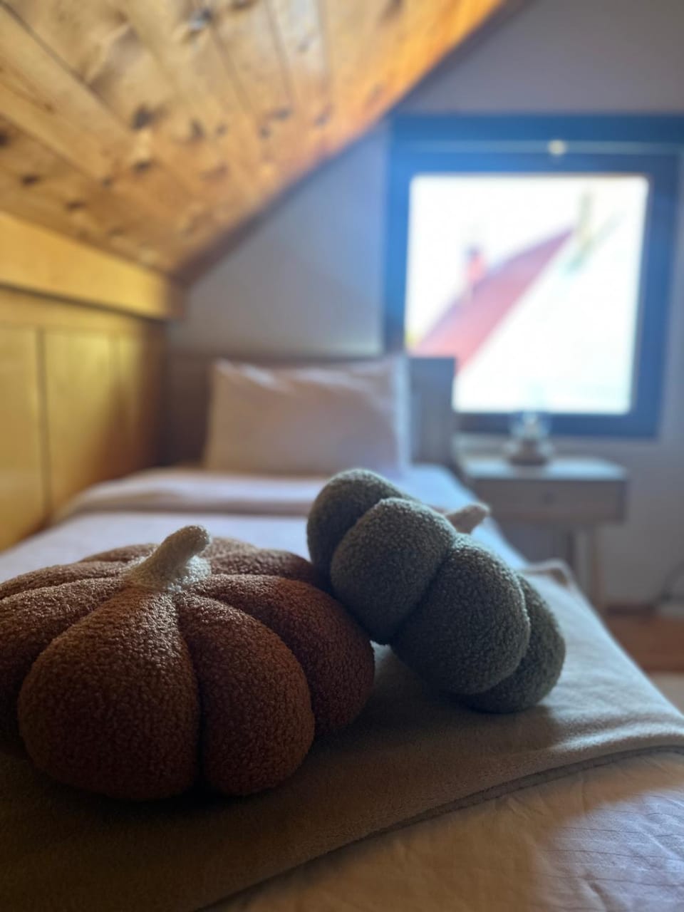 Vila Gorska Apartment in Montenegro