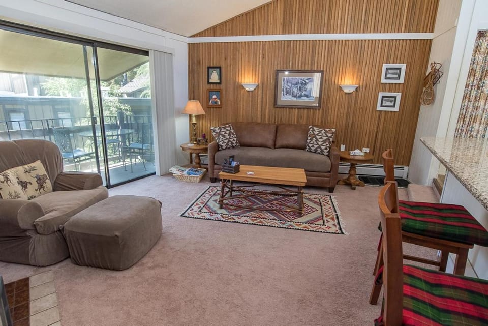 Gold Camp Placer Condo: On Shuttle Route Apartment in Breckenridge