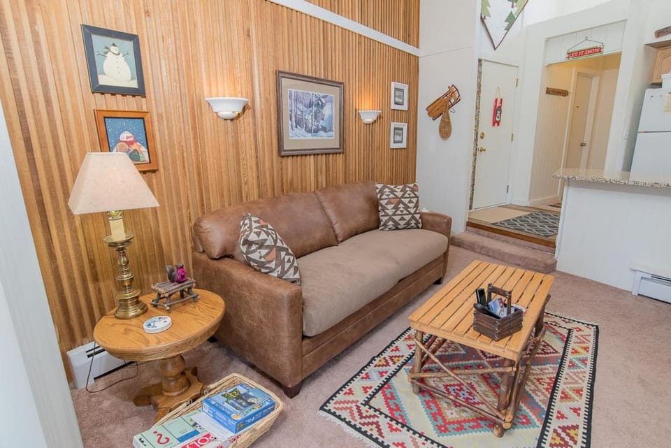 Gold Camp Placer Condo: On Shuttle Route Apartment in Breckenridge