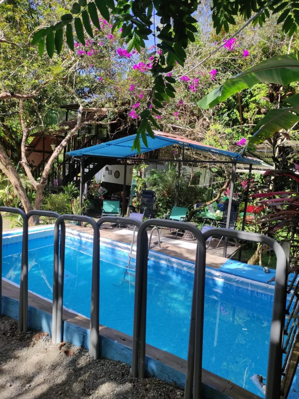 Papaya Wildlife Lodge House in Costa Rica