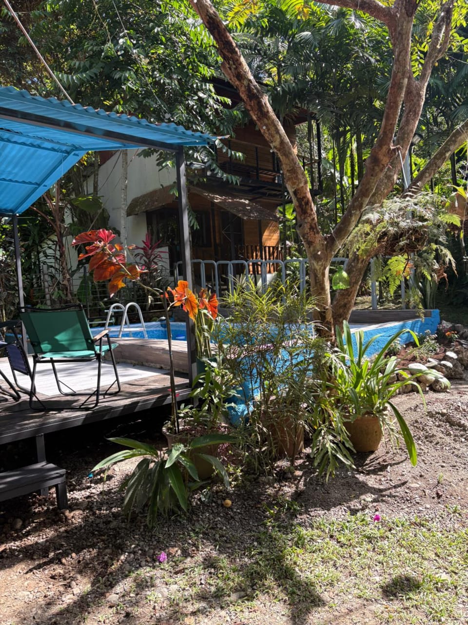 Papaya Wildlife Lodge House in Costa Rica