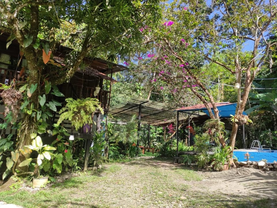 Papaya Wildlife Lodge House in Costa Rica