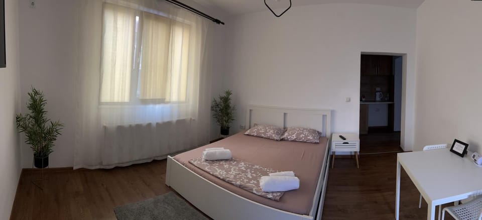 Vila RAA Huși Apartment in Moldova
