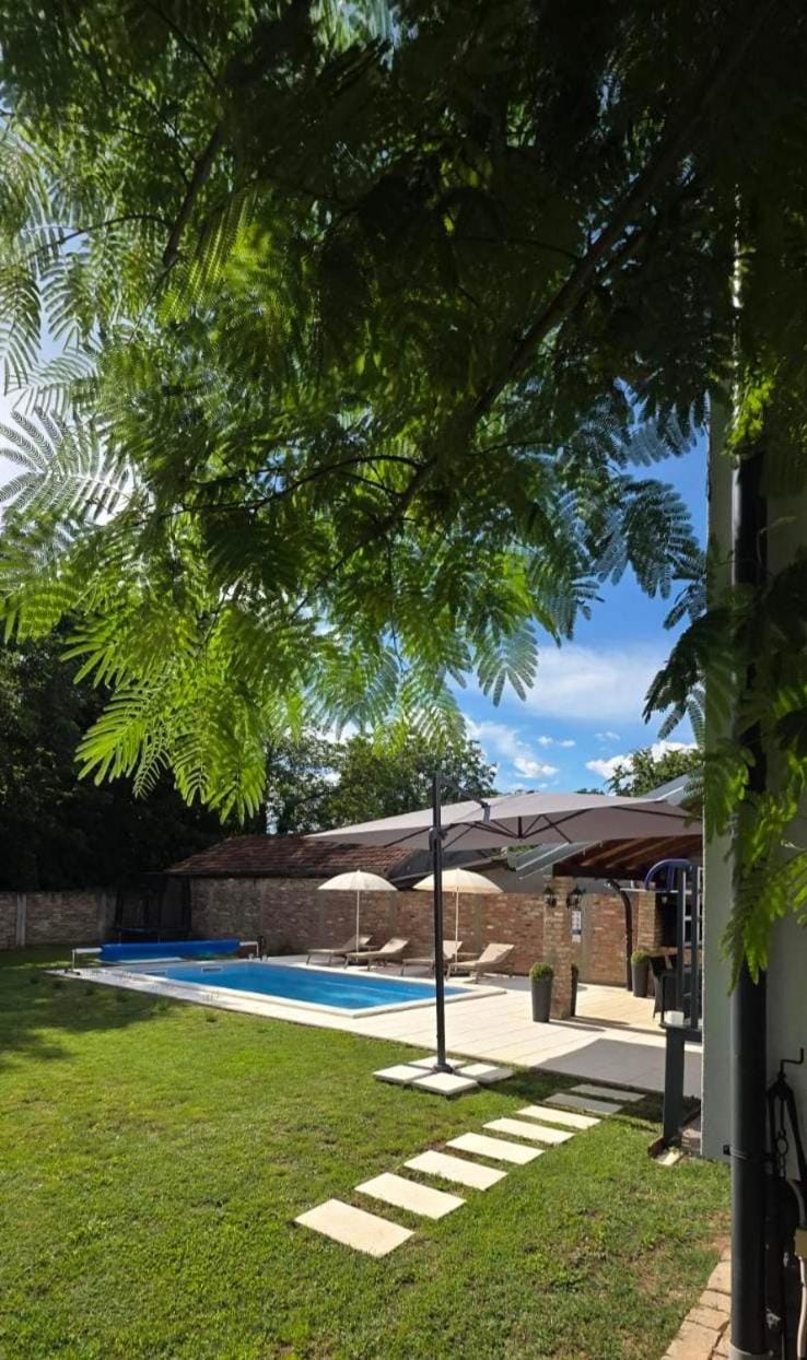 Natural landscape, Garden, Garden view, Pool view, Swimming pool, sunbed