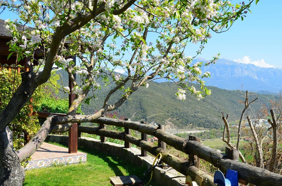 Spring, City view, Garden view, Mountain view