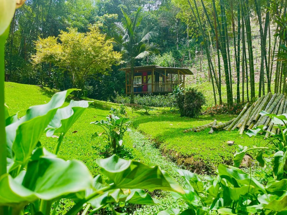 Property building, Garden view