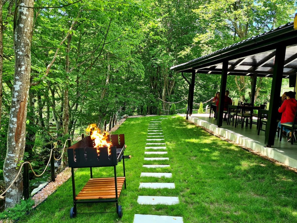 Beconia Riverside Bed and Breakfast in Timiș County