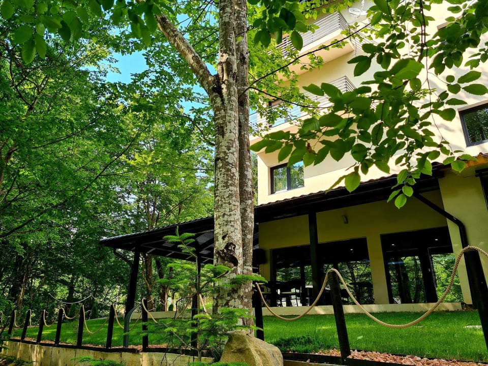 Beconia Riverside Bed and Breakfast in Timiș County