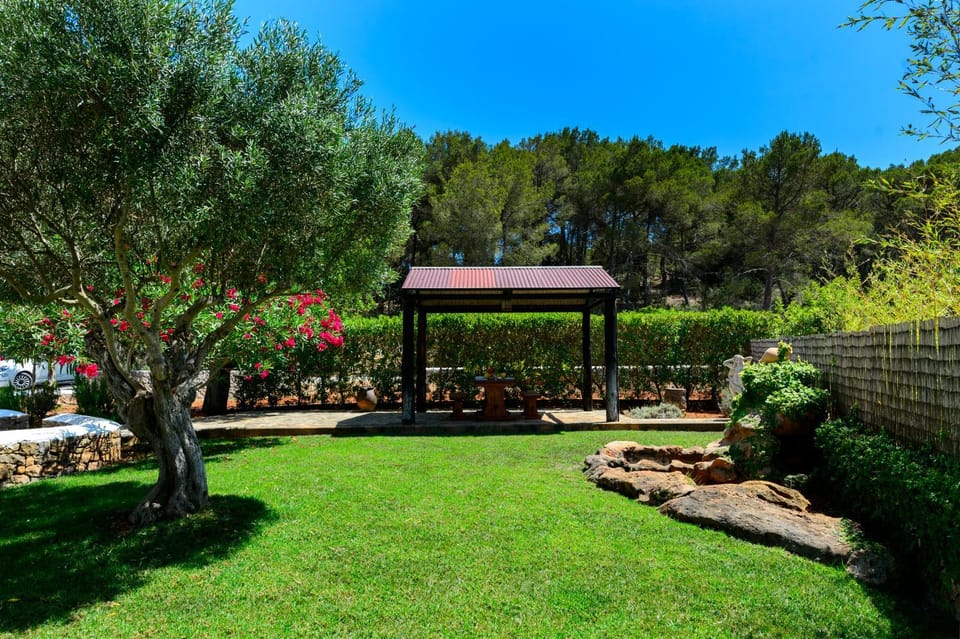 Natural landscape, Garden, Garden view