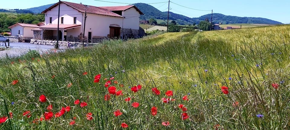 Domaine de Solémy House in Auvergne-Rhône-Alpes