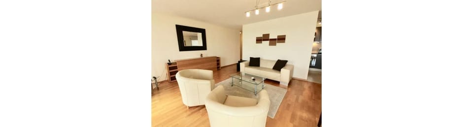 Bright spacious and modern apartment with terrace Apartment in Lausanne