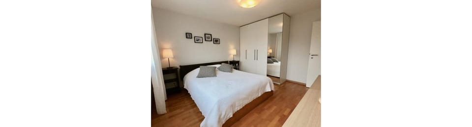 Bright spacious and modern apartment with terrace Apartment in Lausanne