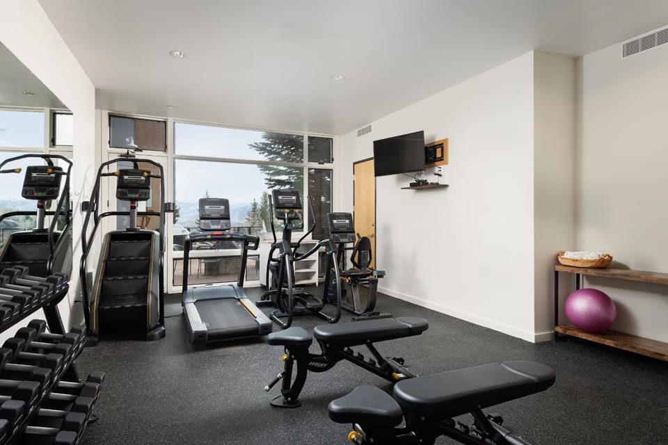 Timberline Condominiums 1 Bedroom Premier Unit A2C House in Snowmass Village