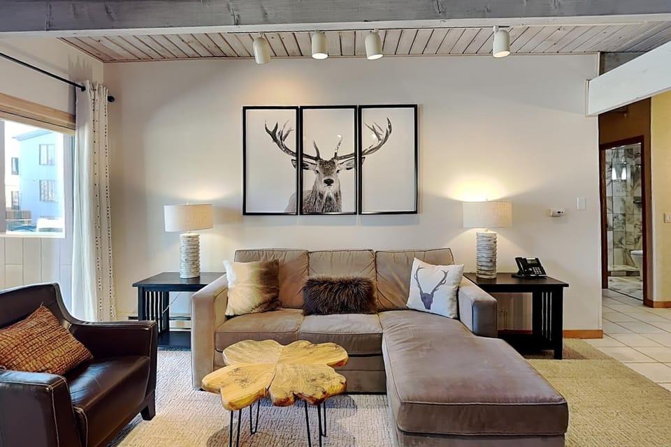 Timberline Condominiums 1 Bedroom Deluxe Unit B1B House in Snowmass Village