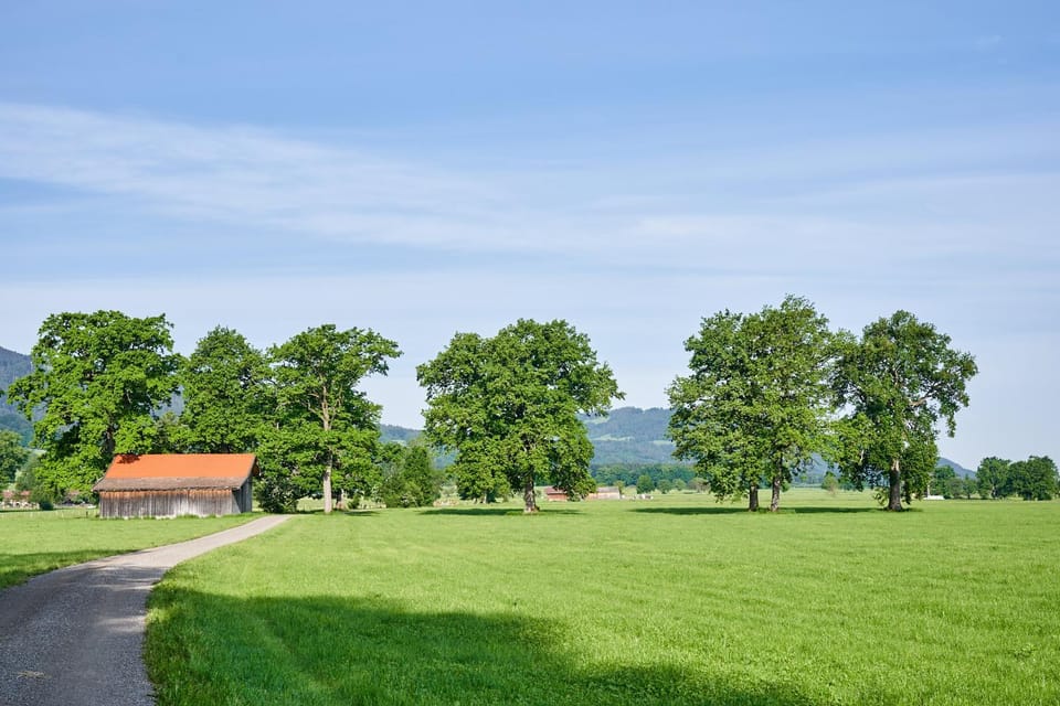 Ferienwohnung Wallner Apartment in Bavaria
