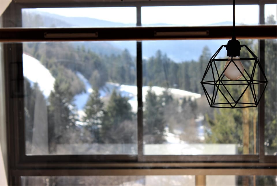 Studio sous les pistes avec vue sur la vallée Apartment in La Bresse