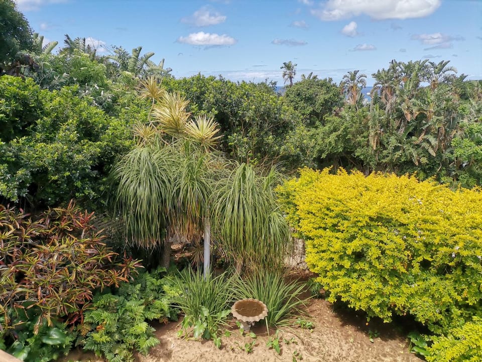 Garden, View (from property/room), Garden view, Sea view, Quiet street view, Inner courtyard view